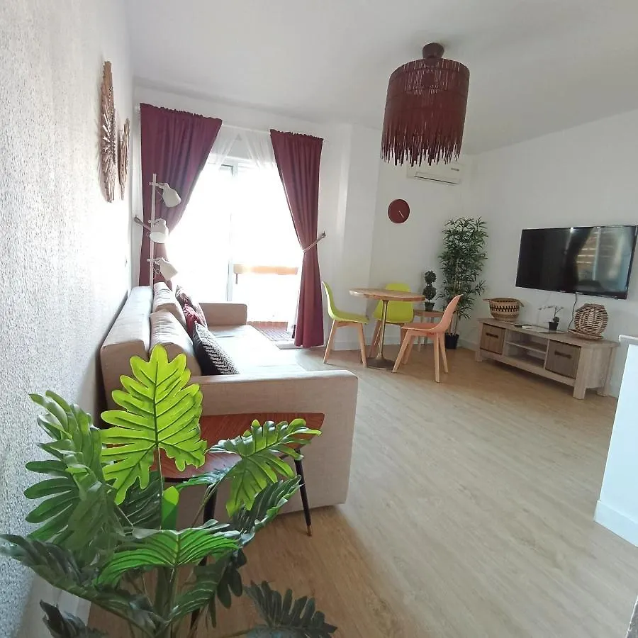 Cathedral View - Triana Apartment contacts
